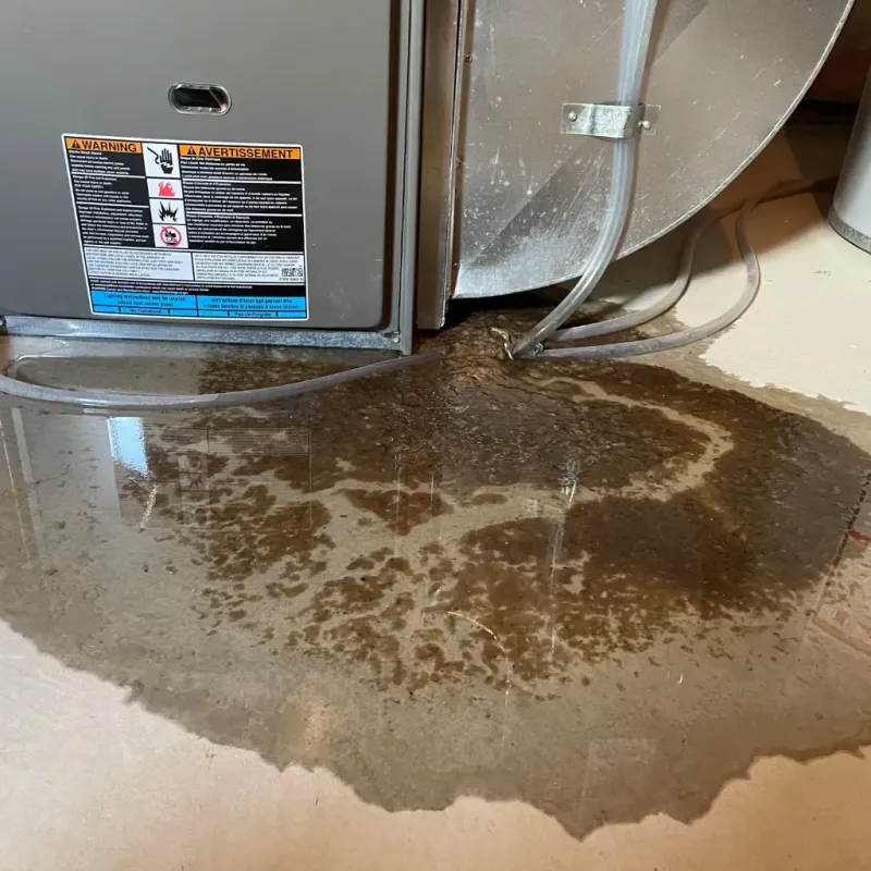 Appliance Leak Cleanup in Greenland, AR