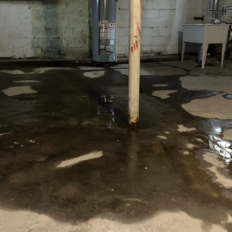 Emergency Water Extraction And Removal in Greenland, AR